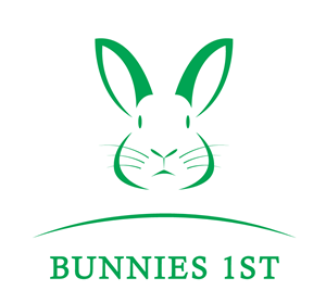 Logo Design by Beenchill