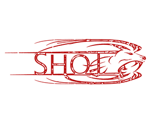 Logo Design by craig_sfx