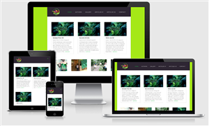 Wordpress Design by Jojodear