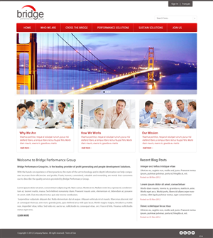 Web Design by pb for Bridge Performance Group Inc. | Design: #1282080