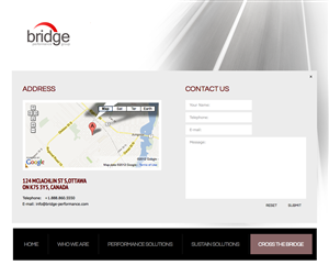 Diseño Web por Vector N Pixel para Bridge Performance Group Inc. | Diseño: #1281938