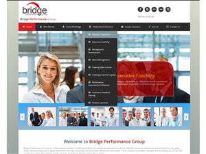 Diseño Web por macrodesignstudio para Bridge Performance Group Inc. | Diseño: #1291607