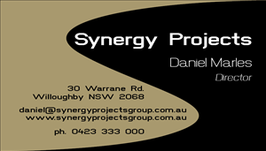 Business Card Design by Rayven