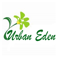 Logo Design by Arbaz