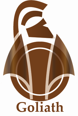 Logo Design by RoderikHigh