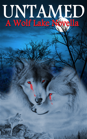 eBook Cover Design by Akshat