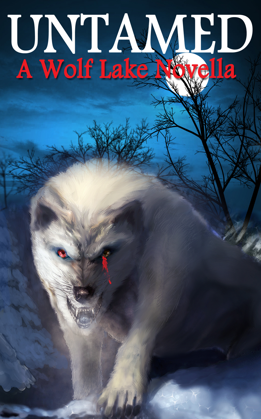 Design de Couverture eBook par Akshat pour Jennifer Kohout | Design #1285517