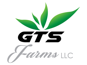Logo Design by Shabishine for this project | Design: #4514188