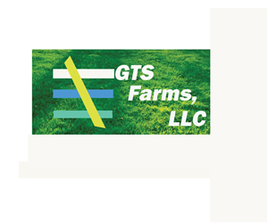 Logo Design by mandeep0001 for this project | Design: #4525273