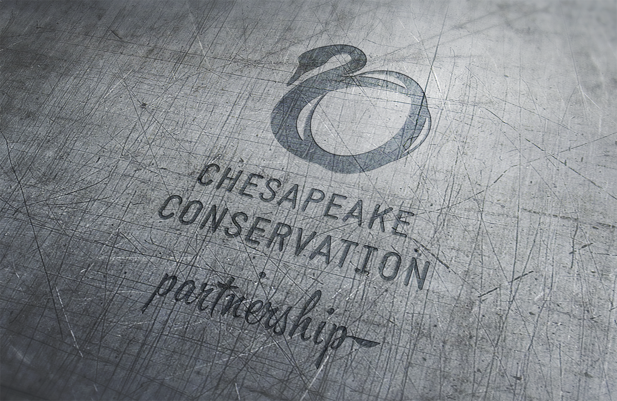 Design de Logo par sonia silva pour Water Words That Work LLC | Design #4543220