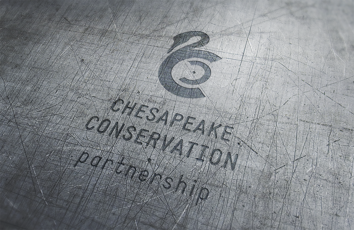 Design de Logo par sonia silva pour Water Words That Work LLC | Design #4543236