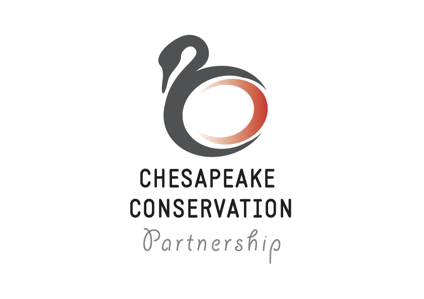 Logo Design by sonia silva for Water Words That Work LLC | Design #4543239
