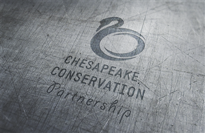 Design de Logo par sonia silva pour Water Words That Work LLC | Design : #4543245