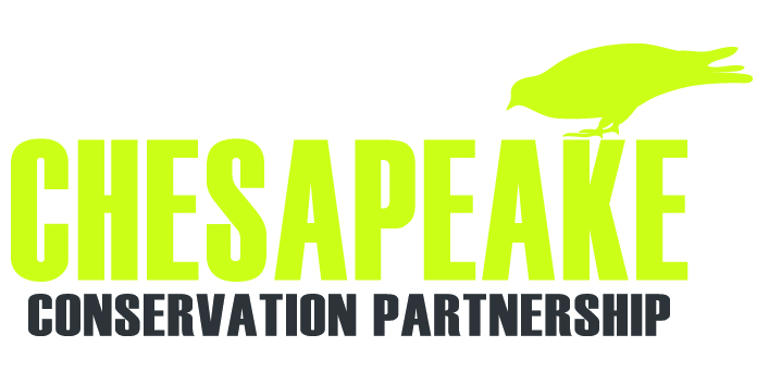 Logo Design by Scarlett Cespedes for Water Words That Work LLC | Design #4520813