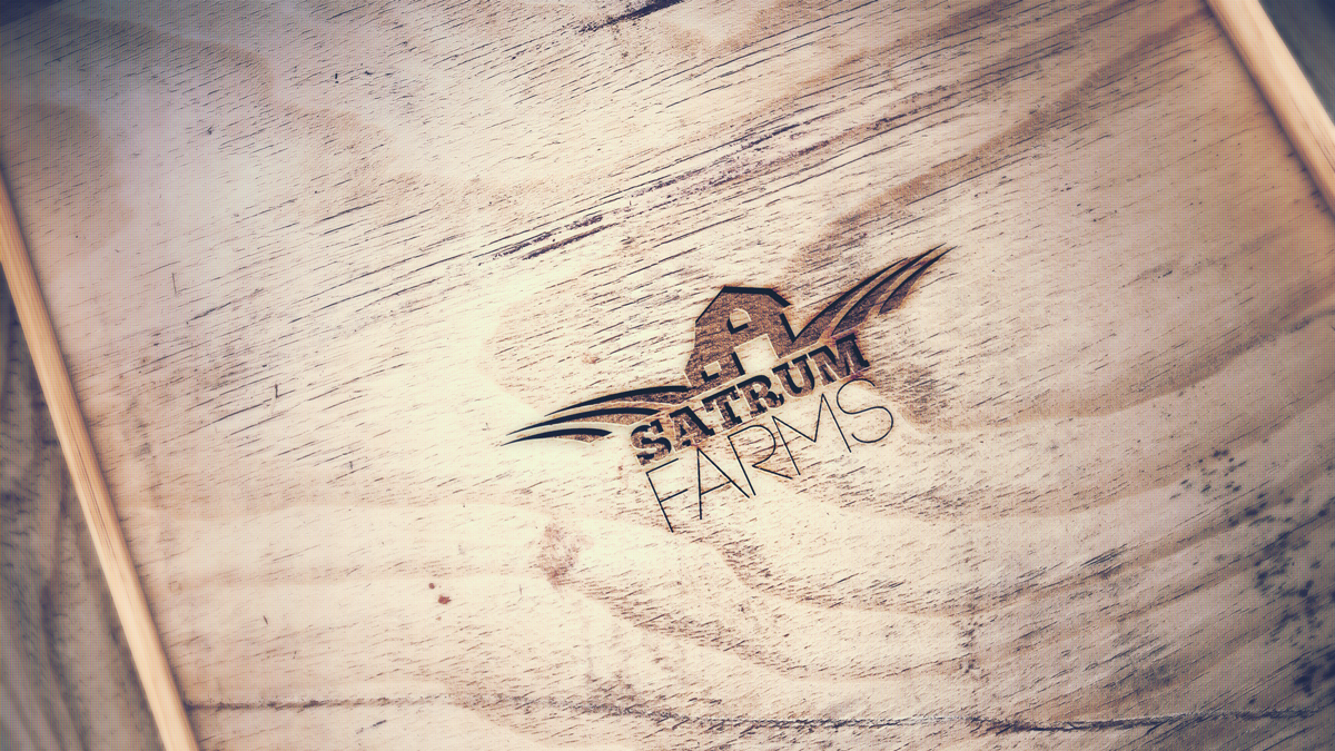 Logo Design by Etosamoe for this project | Design #4519216
