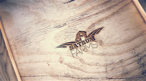 Logo Design by Etosamoe for this project | Design: #4519216