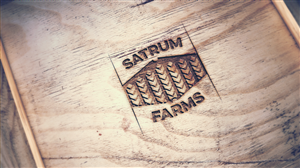 Logo Design by Etosamoe for this project | Design: #4523739