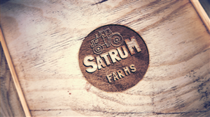 Logo Design by Etosamoe for this project | Design: #4523942