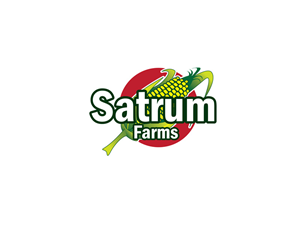 Logo Design by anushka_snigdha for this project | Design: #4526384
