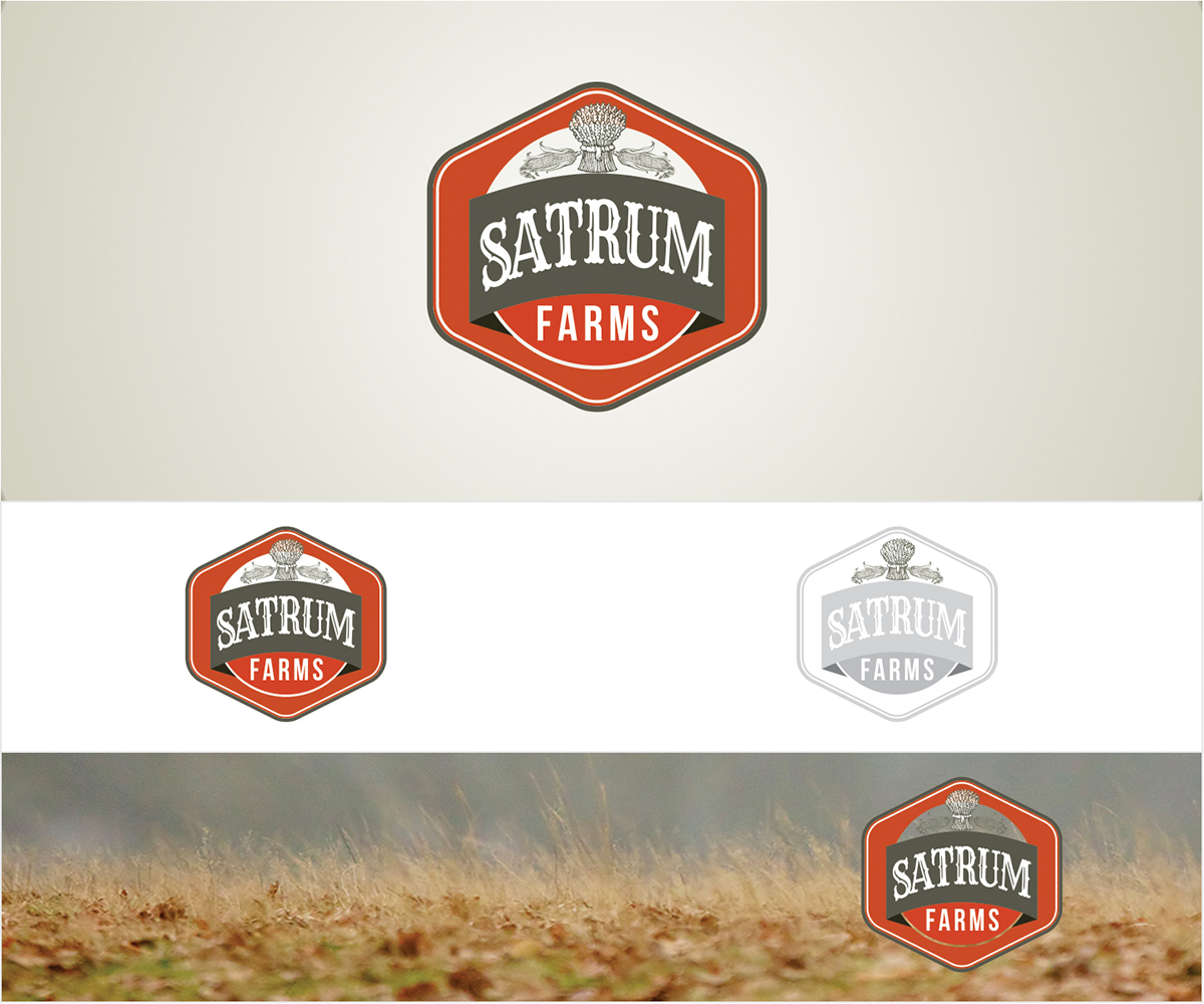Logo Design by shahzaman for this project | Design #4520861