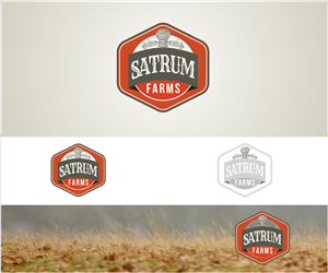 Logo Design by shahzaman for this project | Design: #4520861