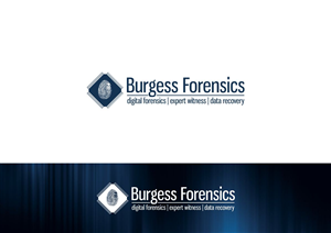 Logo Design by Amduat Design for Burgess Consulting | Design: #4517242
