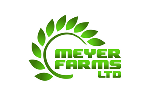 Logo Design by hamkur for this project | Design: #4532263
