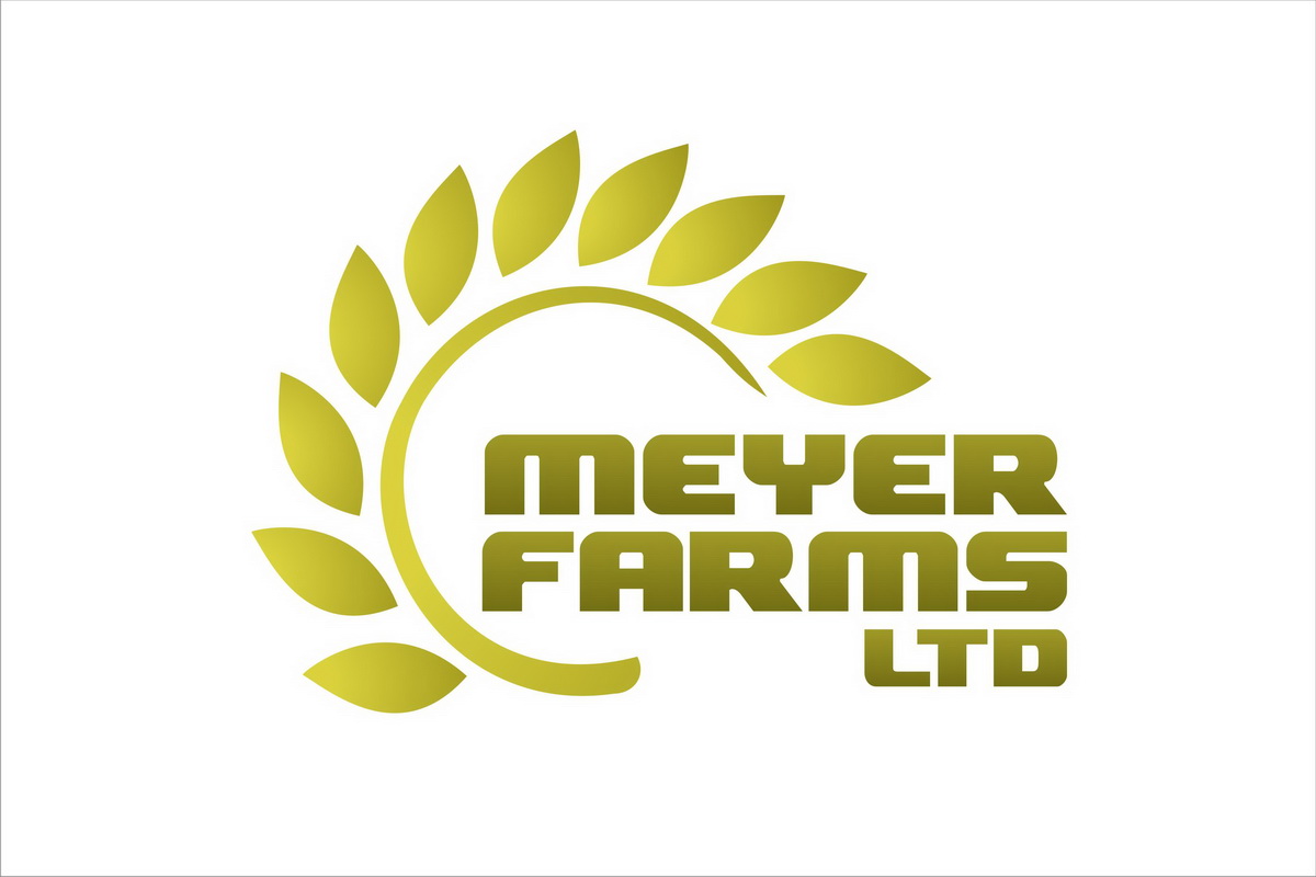 Diseño de Logo por hamkur para este proyecto | Diseño #4532272