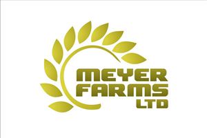 Logo Design by hamkur for this project | Design: #4532272