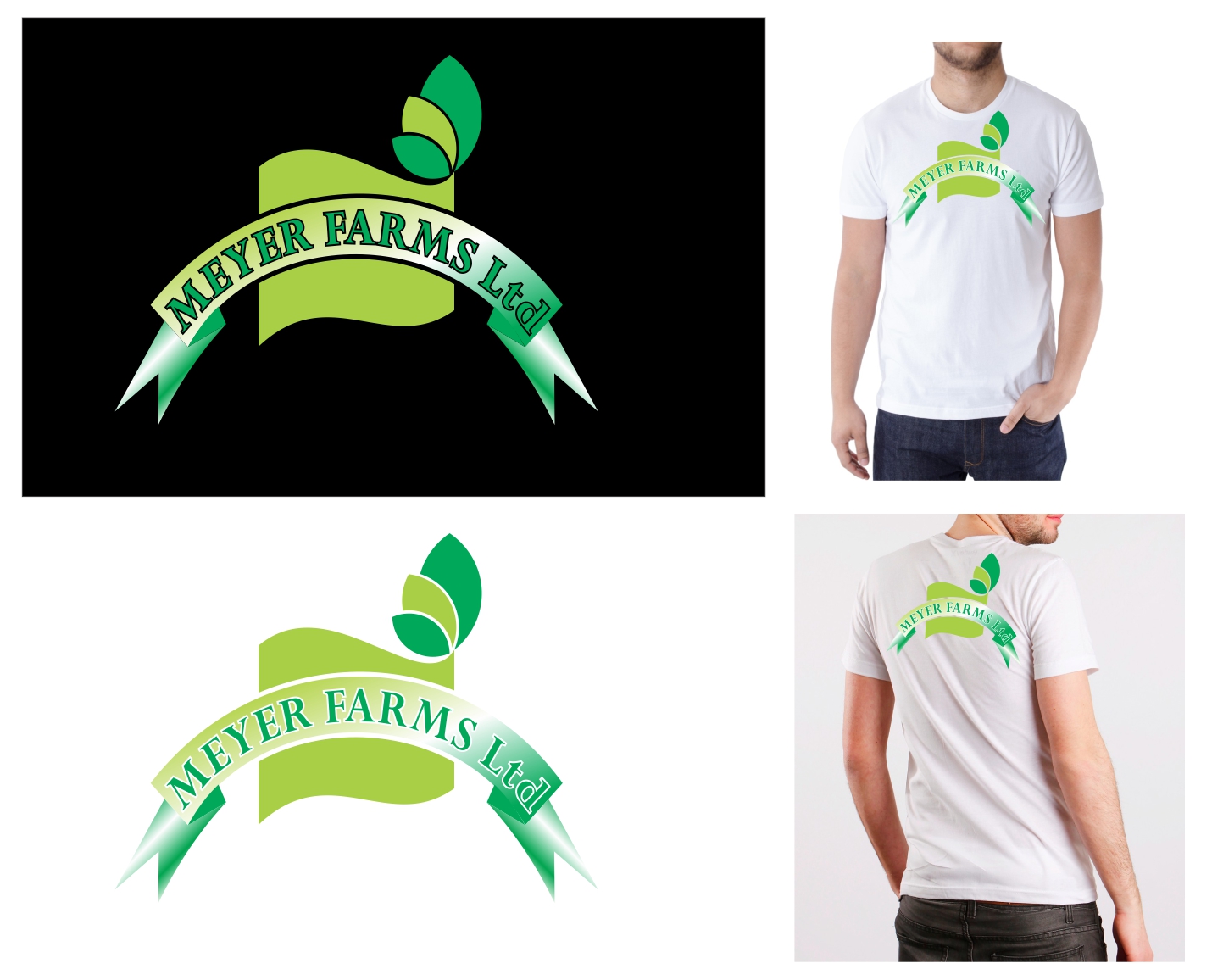 Diseño de Logo por signgraphics para este proyecto | Diseño #4596995