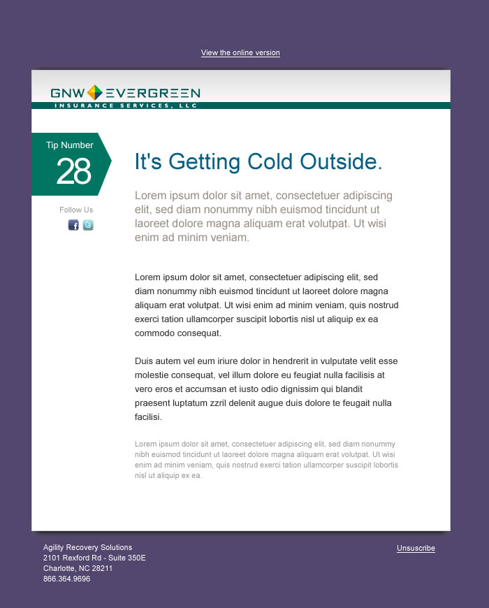 Newsletter Design by Argentinian Freelancer for this project | Design #201621