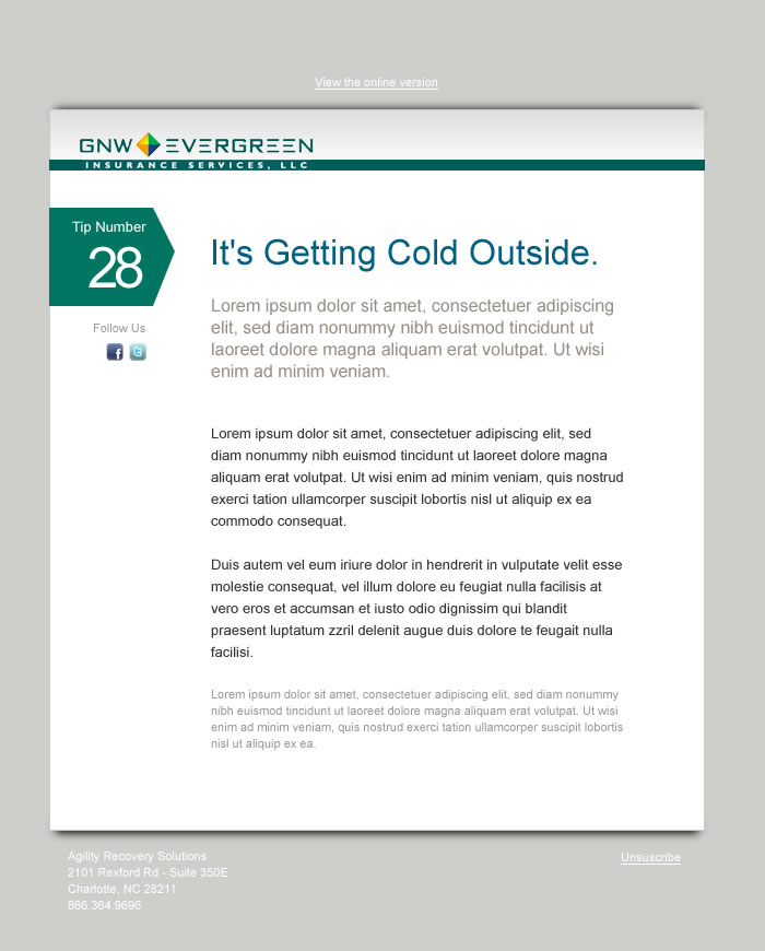 Newsletter Design by Argentinian Freelancer for this project | Design #204691