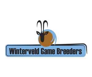 Logo Design by Cara Petrisse