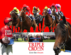 Brochure Design by noelopan1955