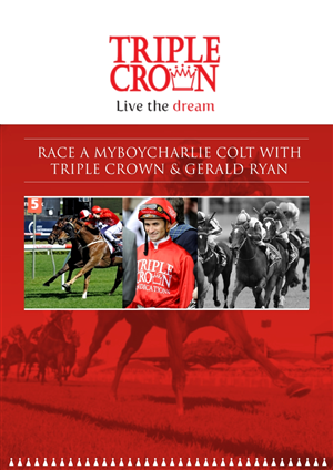 Brochure Design by Christie