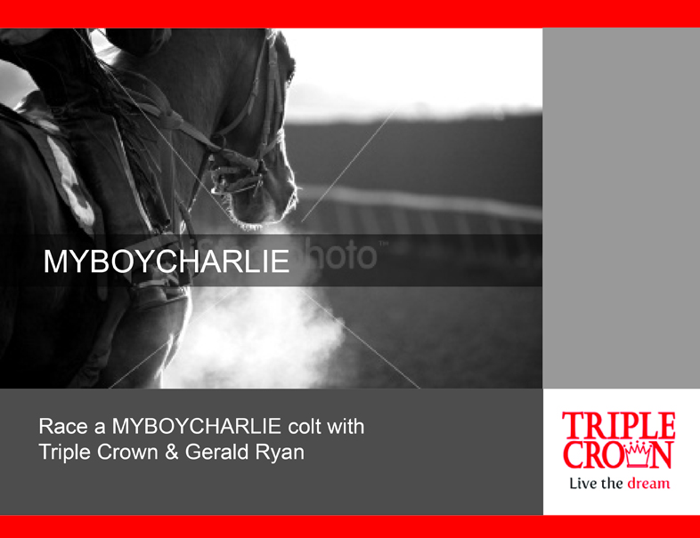 Diseño de Brochure por Loretta Reilly Design, Inc. para este proyecto | Diseño: #1303817