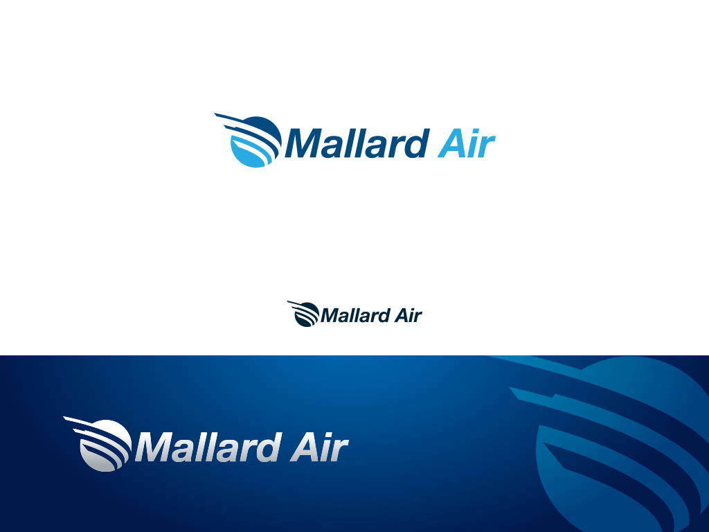 100 Professional Logo Designs | Airline Logo Design Project for a ...