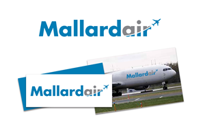 The logo should contain the Company Name 