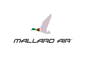 The logo should contain the Company Name 