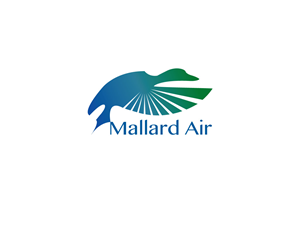 Logo Design by snowflakevisual