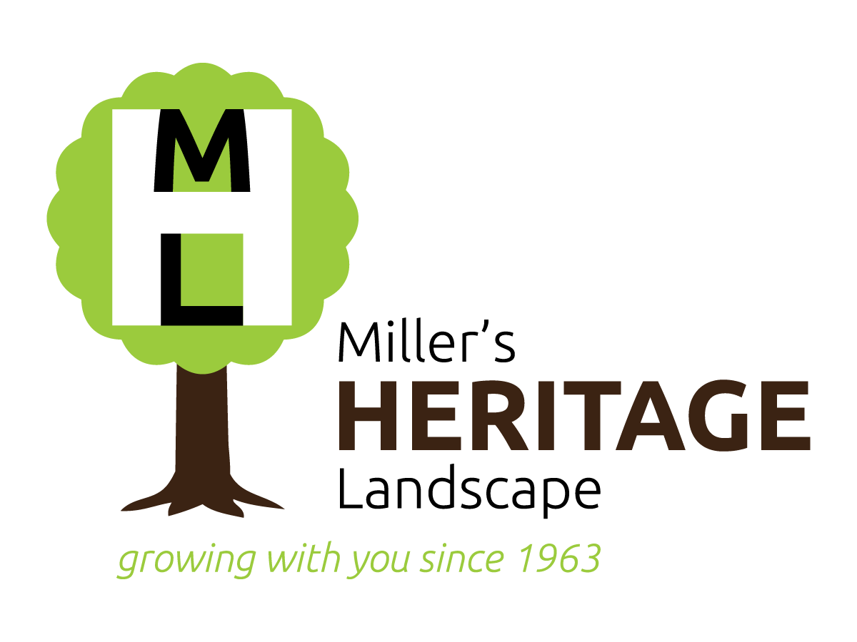 Logo Design by stevu1967 for this project | Design #4521501