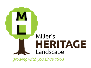 Logo Design by stevu1967 for this project | Design: #4521501