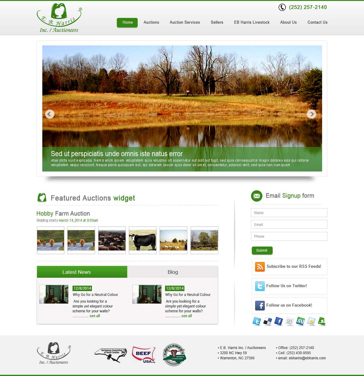 WordPress-Design von sonaldesign für AuctionServices.com, Inc. | Design #4530534