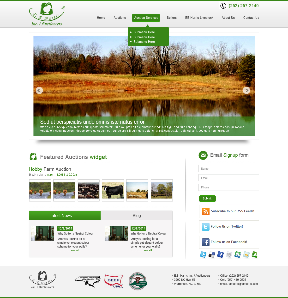 Wordpress Design by sonaldesign for AuctionServices.com, Inc. | Design #4530563
