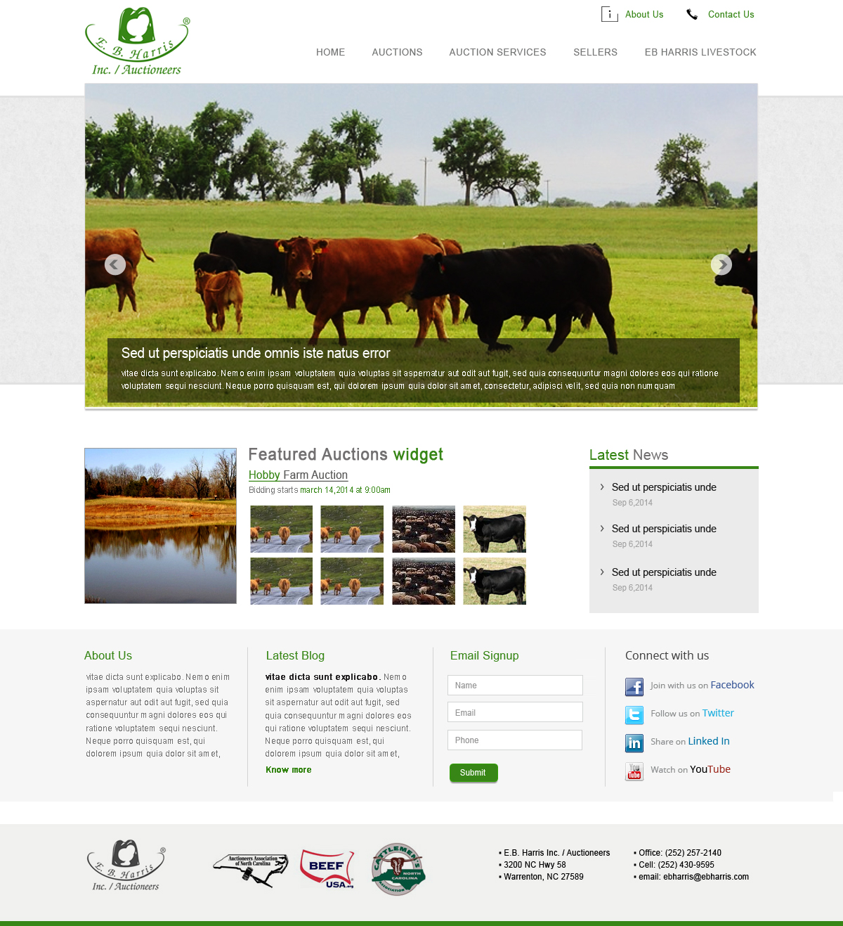 Design Wordpress par sonaldesign pour AuctionServices.com, Inc. | Design #4531960