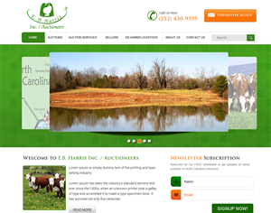 Diseño Wordpress por Aan para AuctionServices.com, Inc. | Diseño #4557015
