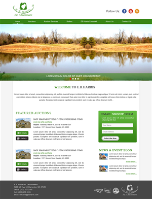 Wordpress Design by webxvision for AuctionServices.com, Inc. | Design: #4537643