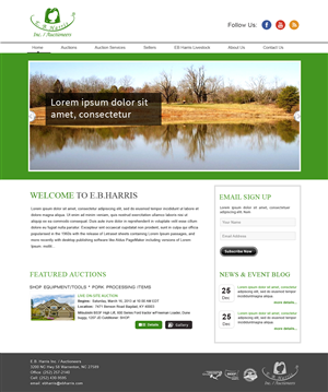 Wordpress Design by webxvision for AuctionServices.com, Inc. | Design: #4546189