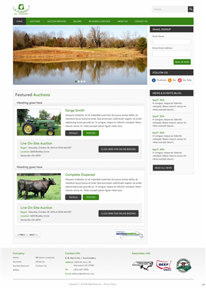 Wordpress Design by pb for AuctionServices.com, Inc. | Design: #4534762