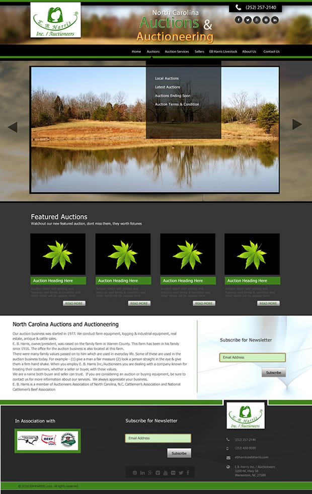 Wordpress Design by 2redefine for AuctionServices.com, Inc. | Design #4553313